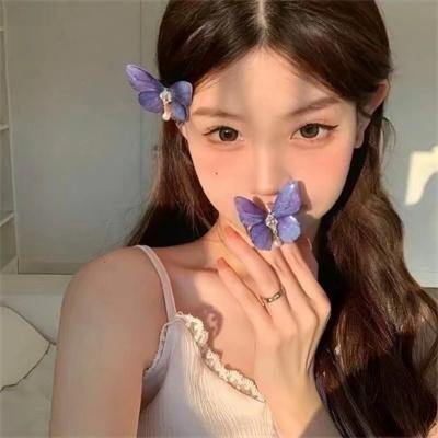 宫廷斗鸡